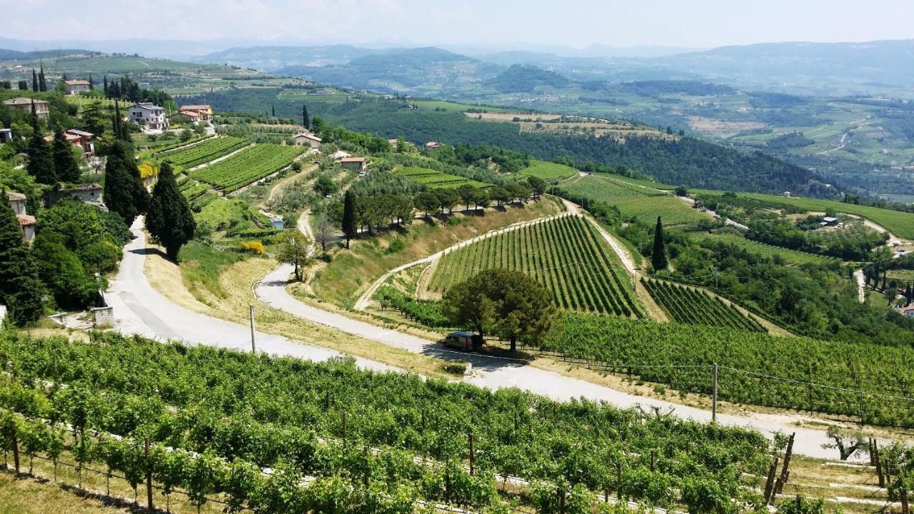 Cris Apartments SantʼAmbrogio di Valpolicella Dış mekan fotoğraf
